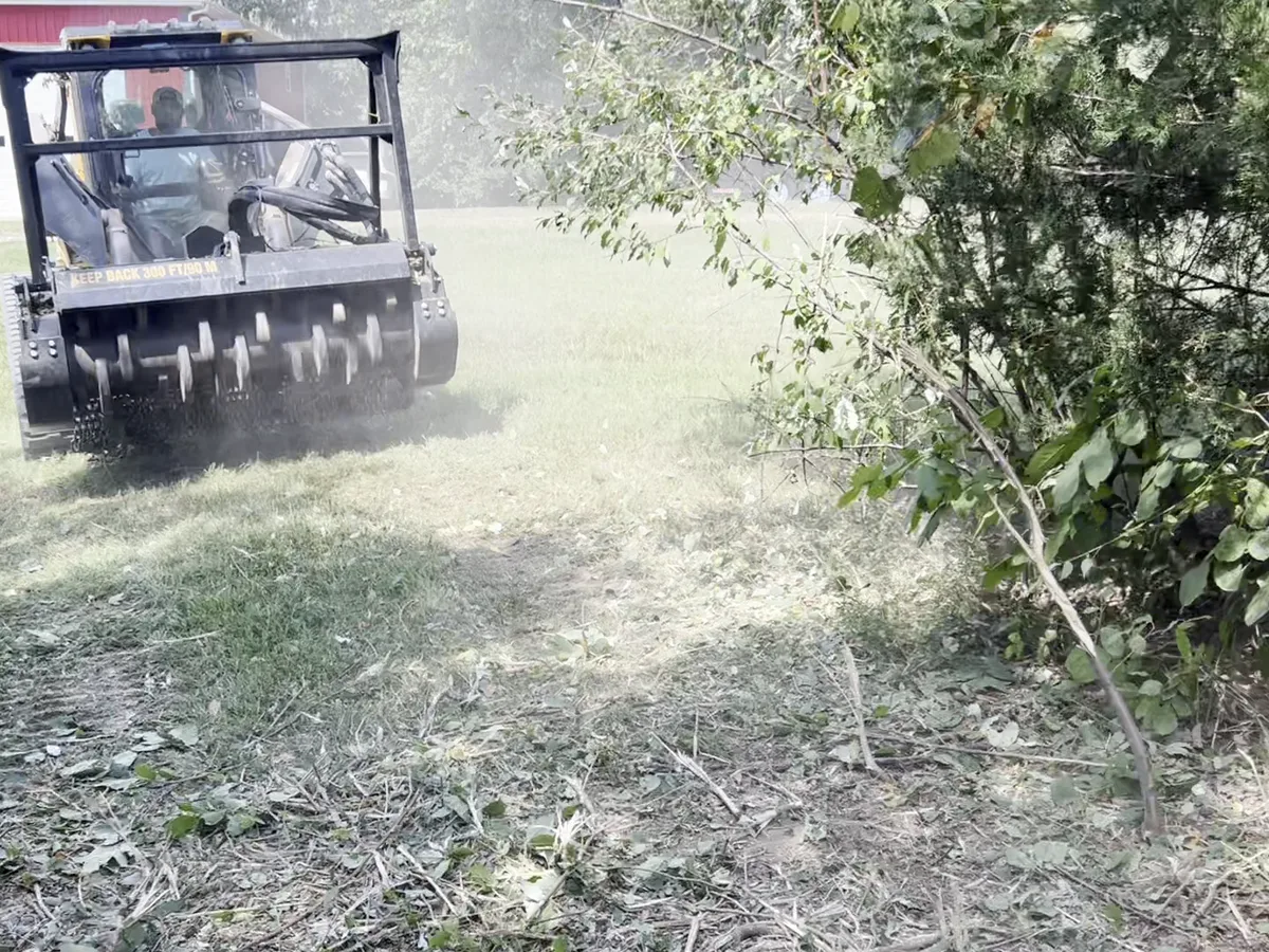 Cleared ground after forestry mulching, mulch layer left on the soil, no burn pile