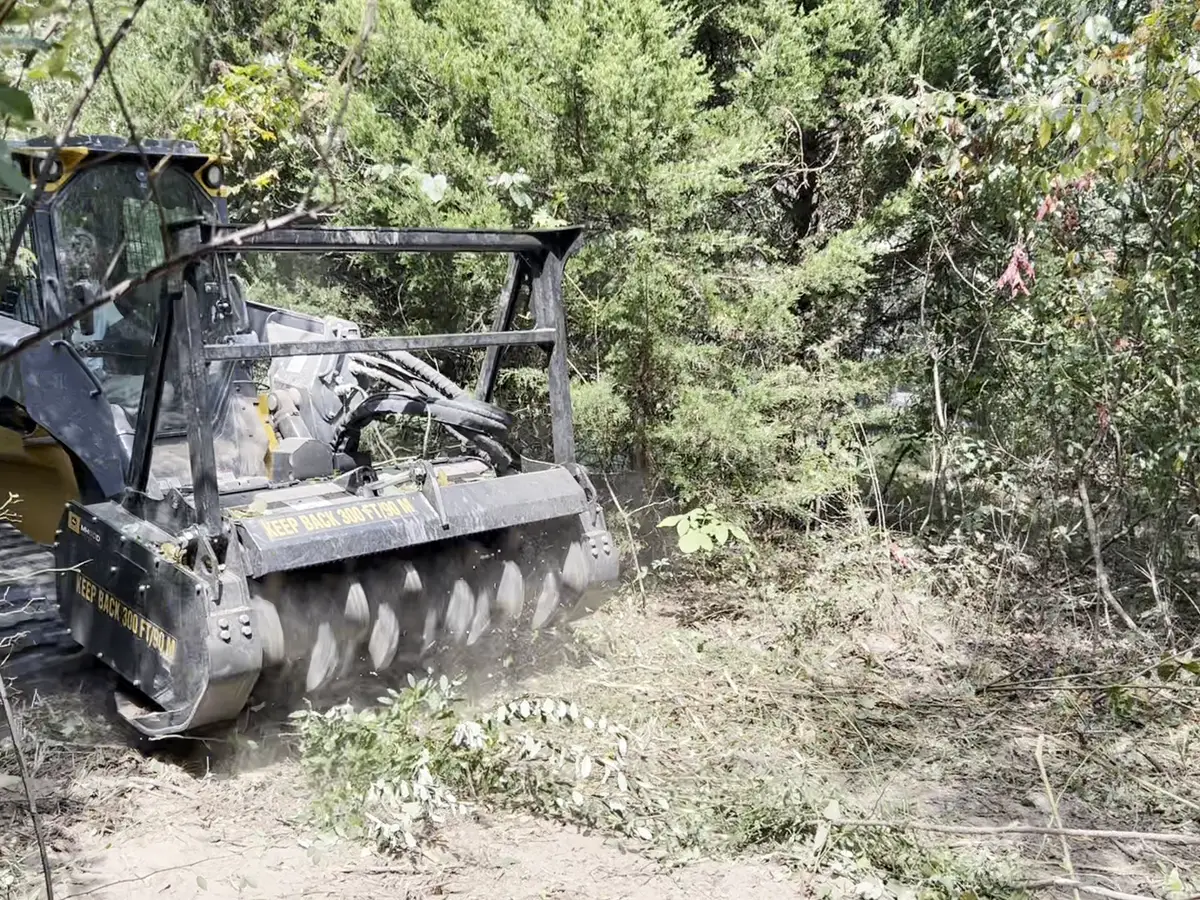 Mulcher pushing through cedars, seen from behind with dust rising