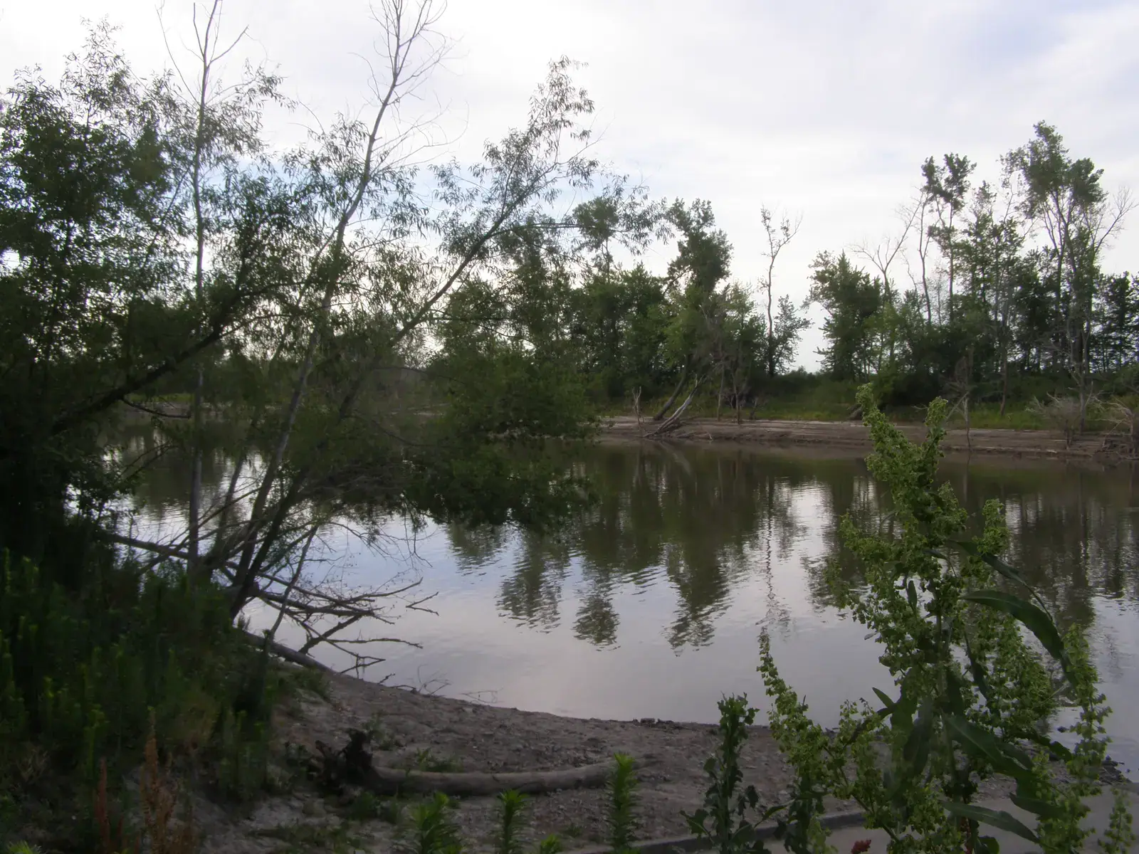 Oxbow of the Missouri River near Brunswick, Missouri