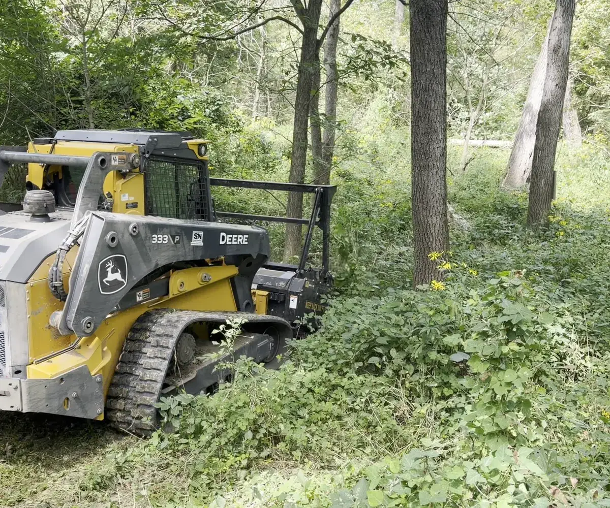 General Land Clean Up use case
