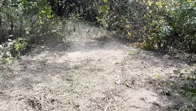 General Land Clean Up