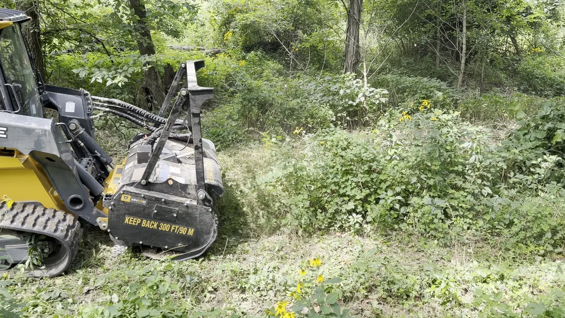 Small Tree Pulling by Mid Missouri Forestry Mulching